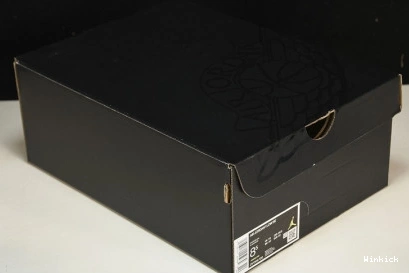 SE 1 DV1309-100 Low Concord Jordan 0817